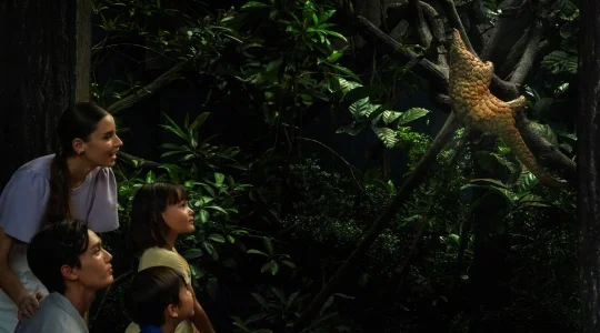 ナイトサファリ